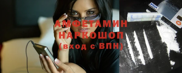 прущие грибы Осташков