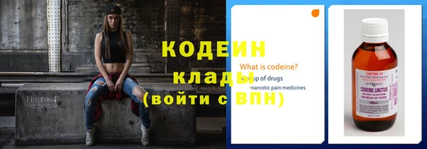 прущие грибы Осташков