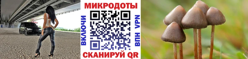 Галлюциногенные грибы Magic Shrooms  Борзя 