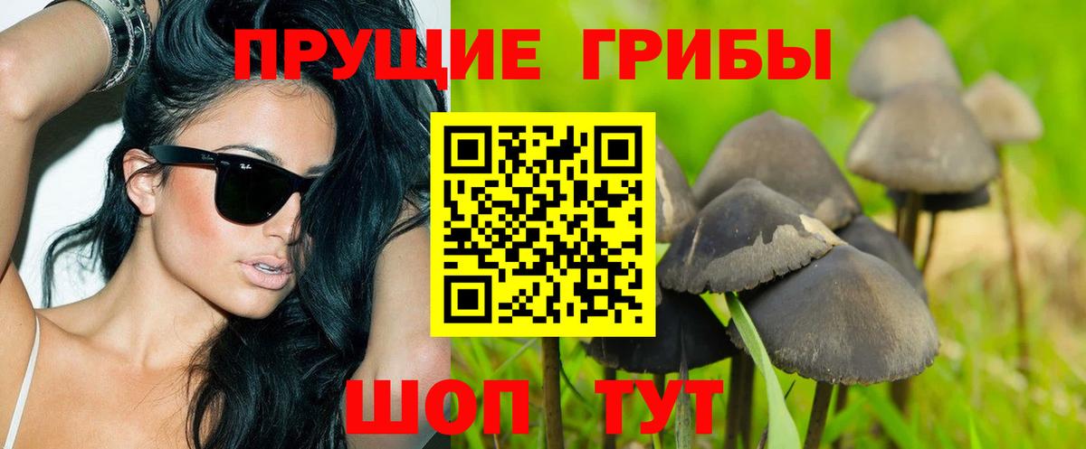 Псилоцибиновые грибы мицелий Борзя