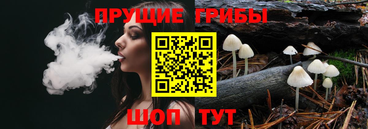Борзя  Псилоцибиновые грибы MAGIC MUSHROOMS  Вход с VPN 
