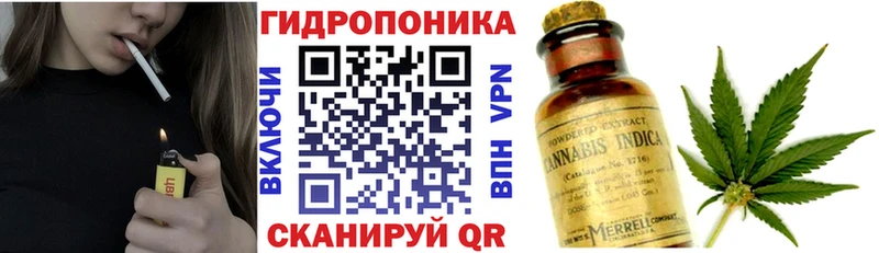 где продают   Борзя  Бошки марихуана семена 